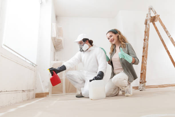 Best Indoor Air Quality Assessment  in Fortuna, CA