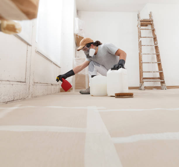 Biohazard Mold Removal in Fortuna, CA