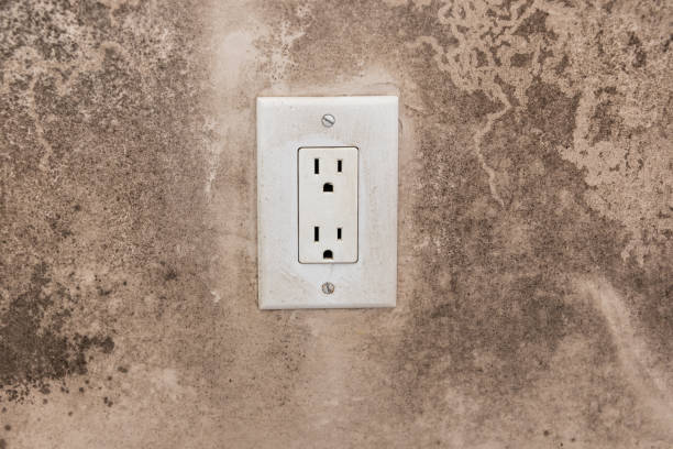 Mold Documentation for Insurance Claims in Fortuna, CA